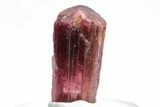 Gemmy Rubellite Tourmaline Crystal - Aricanga Mine, Brazil #206872-1
